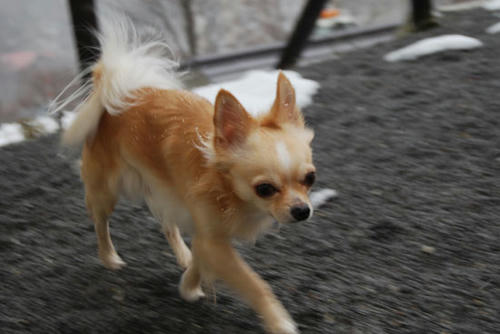 071210_ura7.jpg