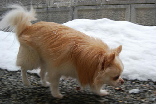 071210_ura9.jpg