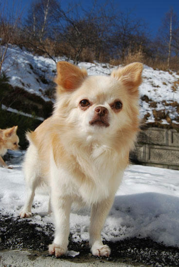 071212_ura15.jpg
