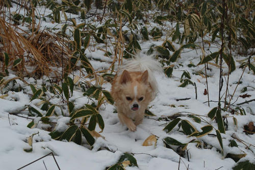 071213_ura2.jpg
