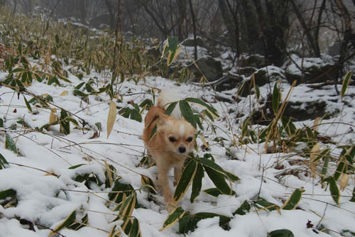 071213_ura3.jpg