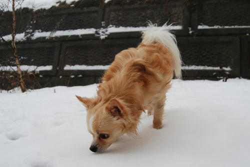 071213_ura4.jpg