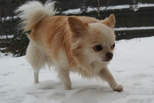 071213_ura5.jpg