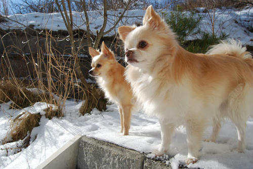 071214_ura8.jpg