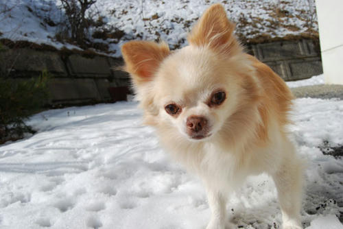 071214_ura9.jpg