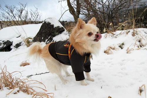 071215_miha2.jpg