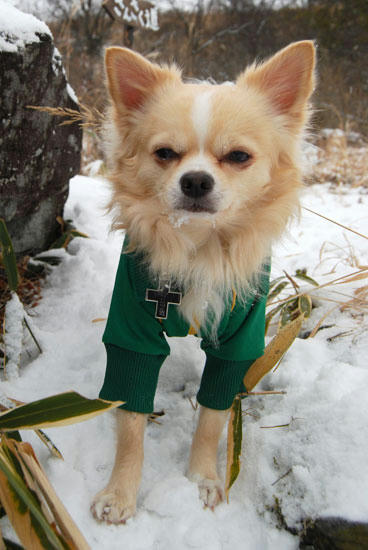 071215_miha14.jpg
