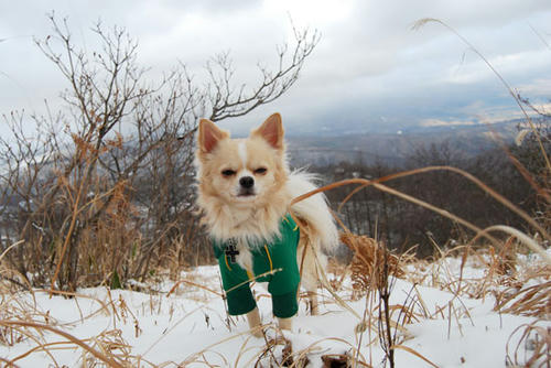 071215_miha19.jpg
