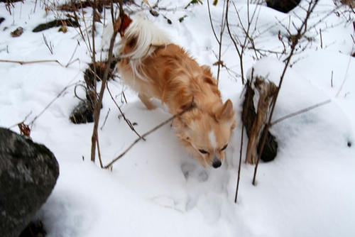 071218_ura2.jpg