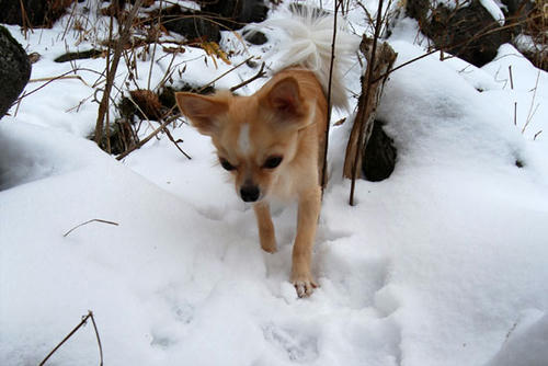 071218_ura3.jpg