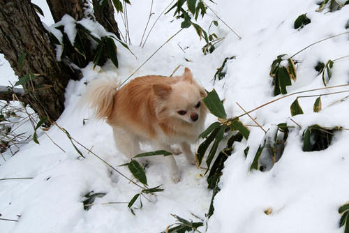 071218_ura4.jpg