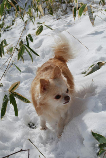 071219_ura2.jpg