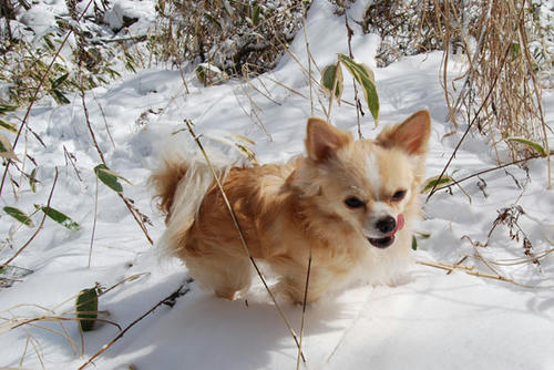 071219_ura7.jpg