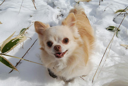 071219_ura11.jpg