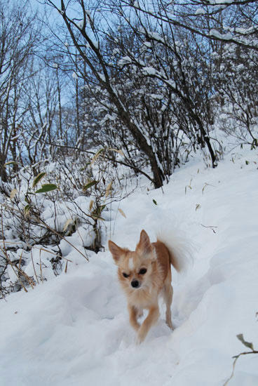 080103_ura2.jpg