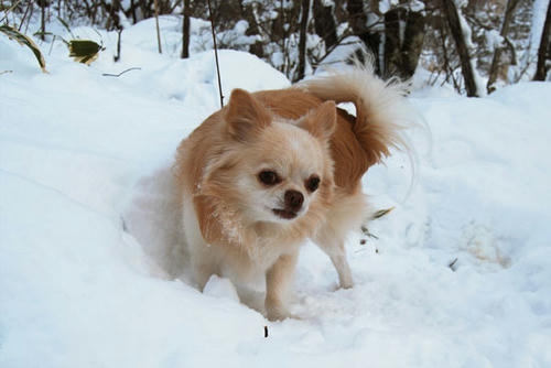 080103_ura3.jpg