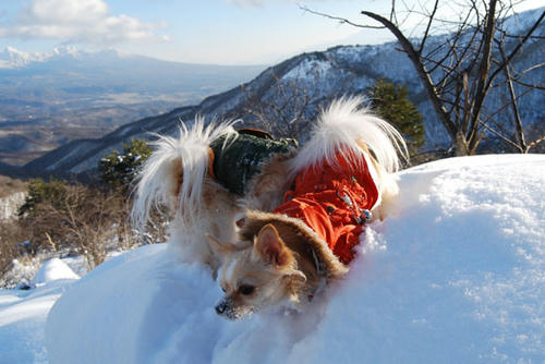 080104_ura7.jpg