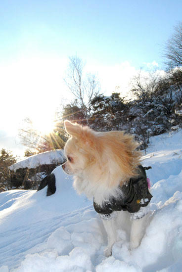 080104_ura9.jpg