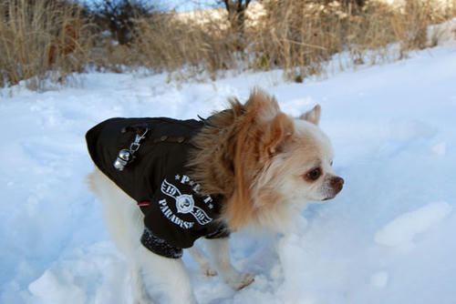 080105_ura6.jpg