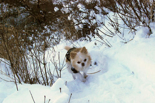 080105_ura7.jpg