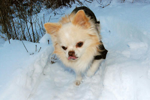 080105_ura8.jpg