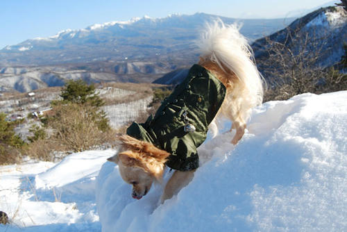 080106_ura4.jpg