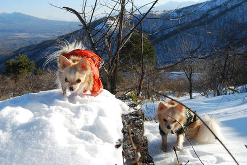 080106_ura7.jpg