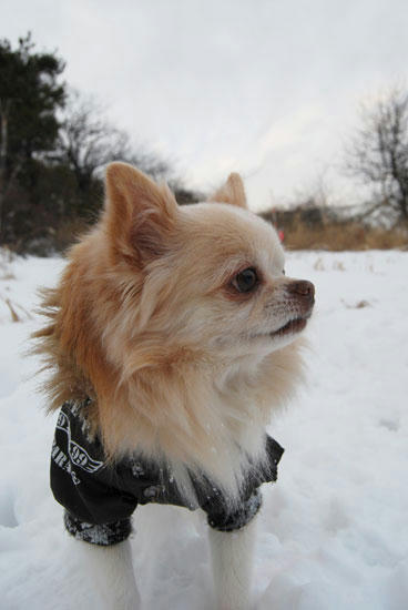 080107_ura4.jpg