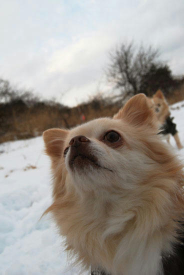 080107_ura7.jpg