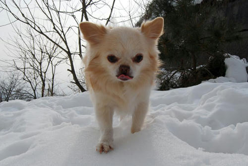 080111_ura6.jpg