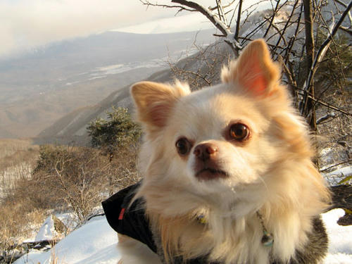 080113_ura5.jpg