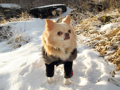080113_ura7.jpg