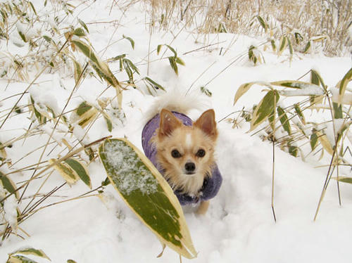 080123_ura3.jpg