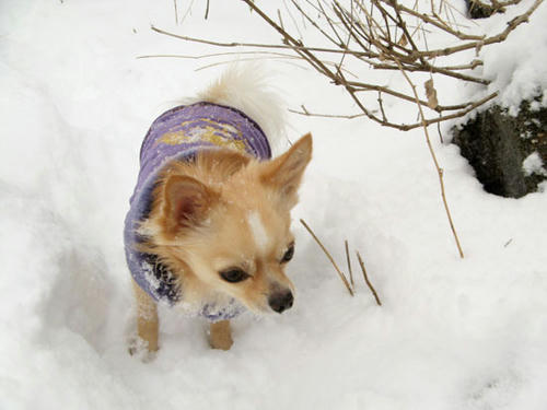 080123_ura4.jpg