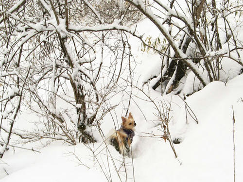 080123_ura5.jpg
