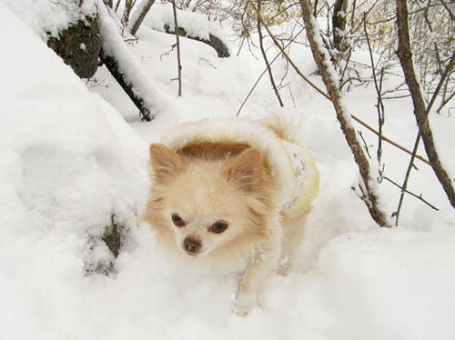 080123_ura6.jpg