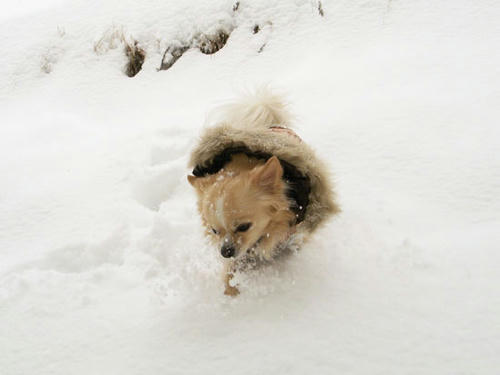 080123_ura7.jpg