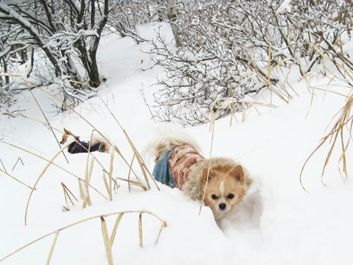 080123_ura8.jpg