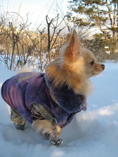 080125_ura3.jpg