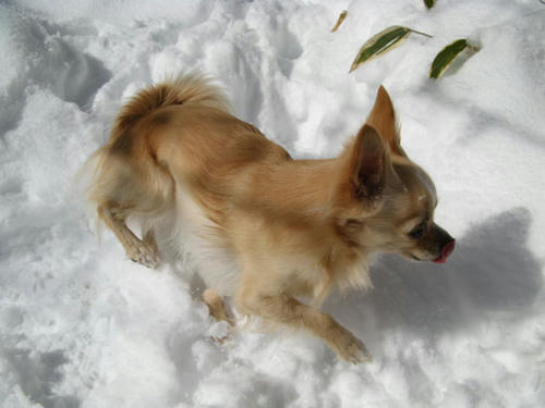 080130_ura1.jpg