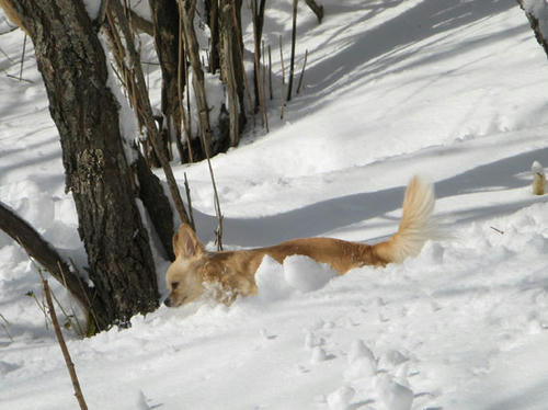 080130_ura3.jpg