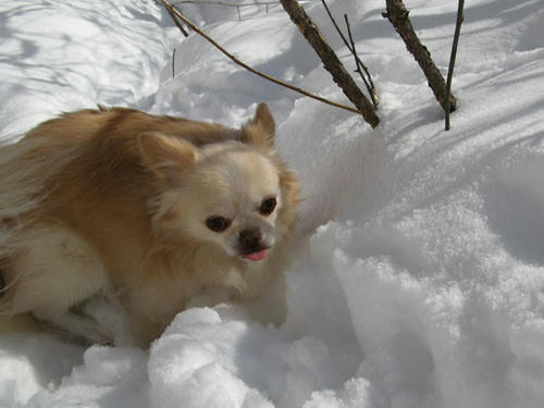 080130_ura4.jpg