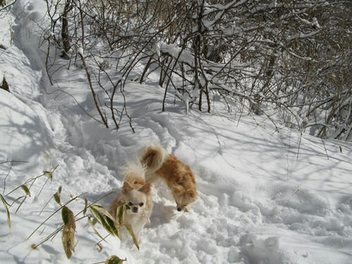 080130_ura5.jpg