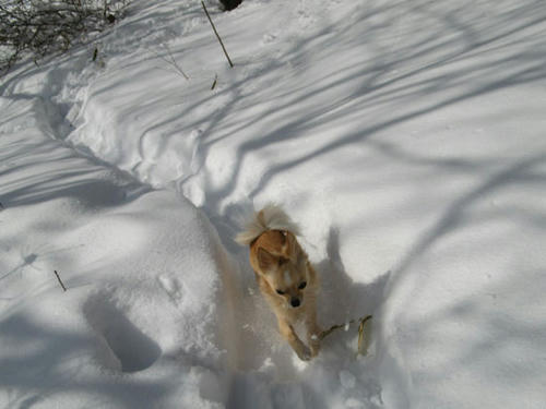 080130_ura6.jpg