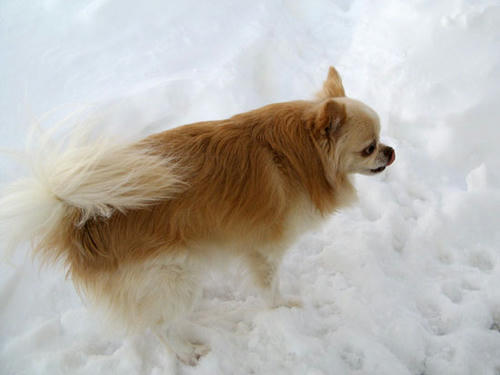 080211_ura1.jpg