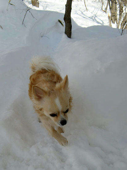 080211_ura4.jpg