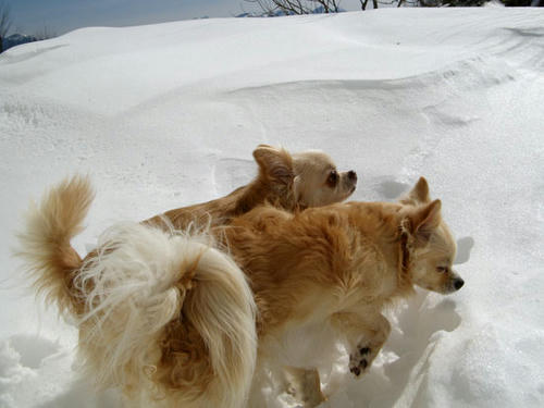 080211_ura5.jpg