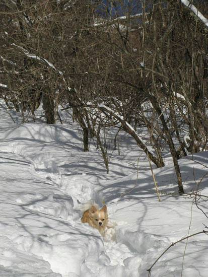 080214_ura1.jpg