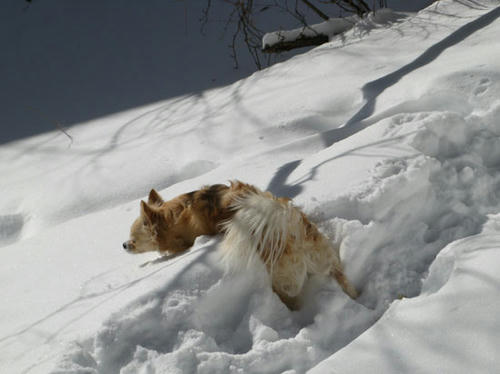 080214_ura2.jpg