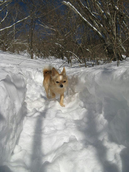 080214_ura3.jpg